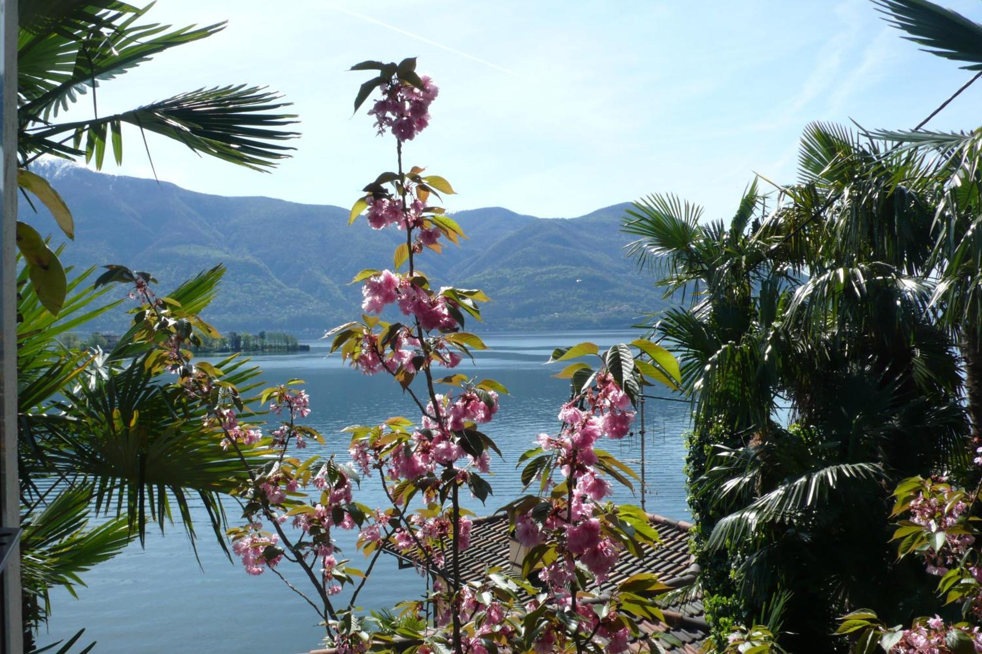 Residenza Bettina Bnb & Ferienwohnungen Ronco sopra Ascona Extérieur photo